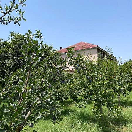Villa Mance Берат Екстер'єр фото