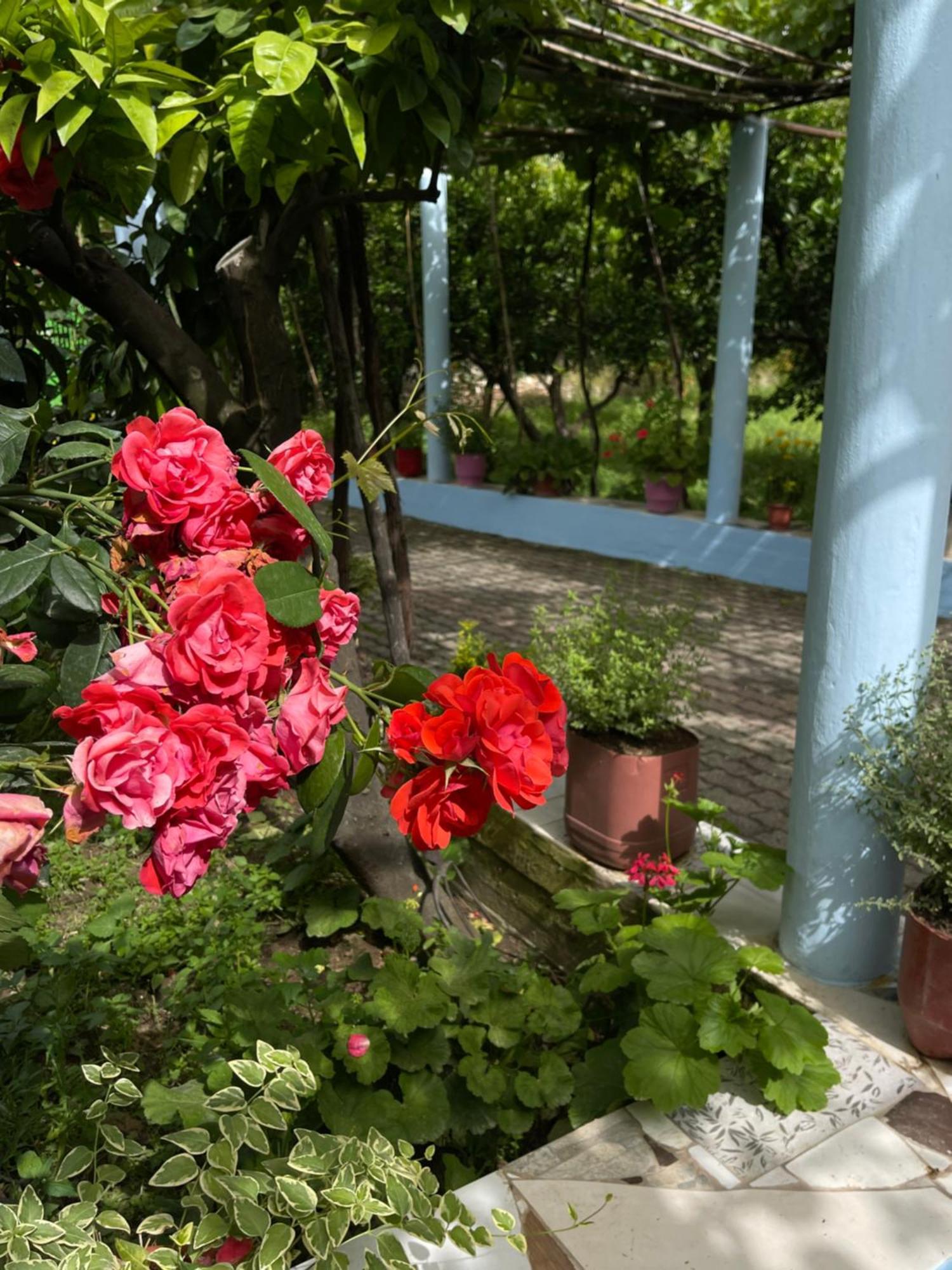 Villa Mance Берат Екстер'єр фото